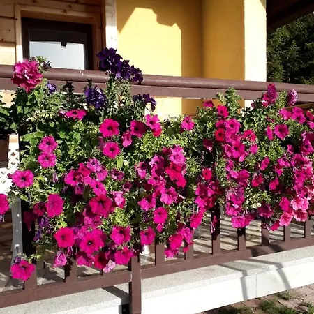 Dream House Tatil Evi *